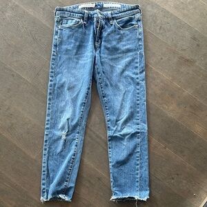 Anthropologie Distressed Blue Ankle Jeans